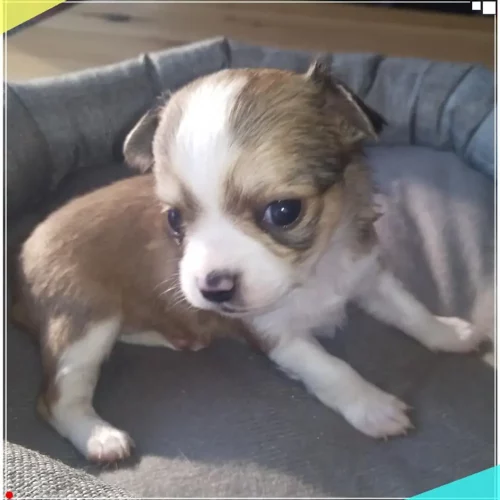 128422898_115244047073317_7615761394984876596_n