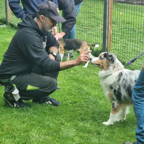 462147156_990556882875358_8430464902659202628_n