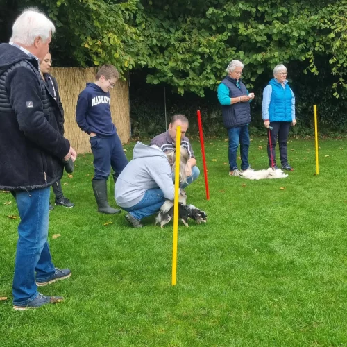 462256336_990556802875366_2359763982291251306_n