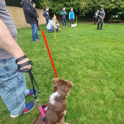 462294726_990557069542006_4924039345711926437_n