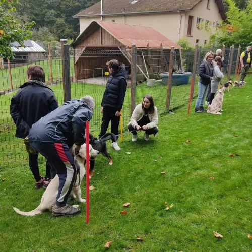 462318336_990561246208255_3475535298311094557_n