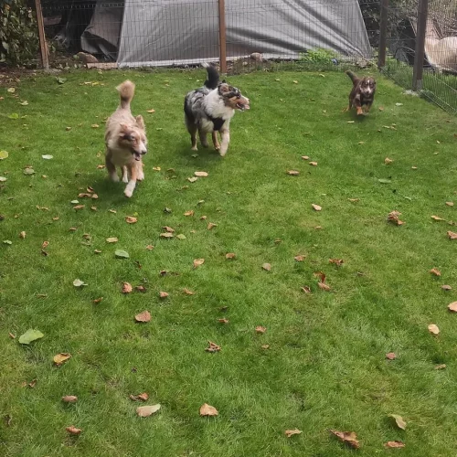 462349821_990556359542077_7601915446618250893_n