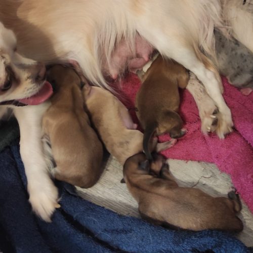 465819283_1013908940540152_6328479490318954720_n