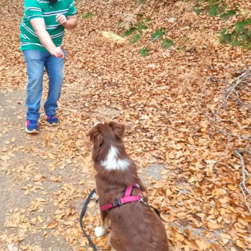 466977857_1020377376559975_2692593550153288907_n