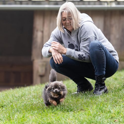 467016470_1020843069846739_6918380870464417184_n