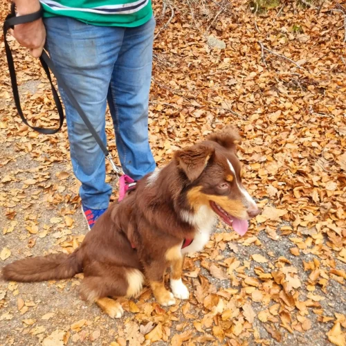 467302009_1020377493226630_4464448451470136027_n