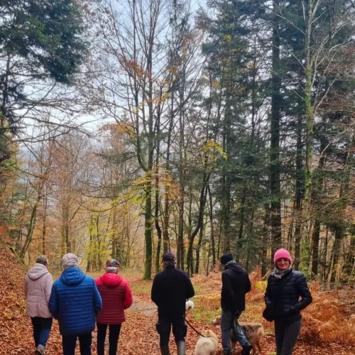 467311843_1020377596559953_8945553409247749999_n