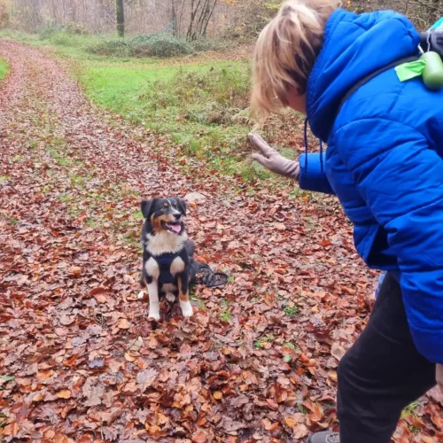 467344764_1020377706559942_1082666320923783623_n