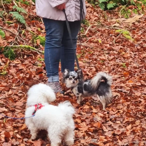 467396313_1020377689893277_294427558073245451_n