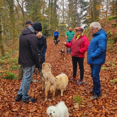 467396775_1020377303226649_7080774850761334566_n