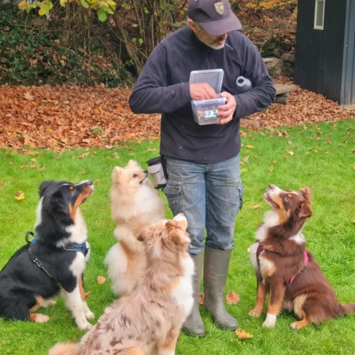 467405267_1020377113226668_8980802824464473504_n