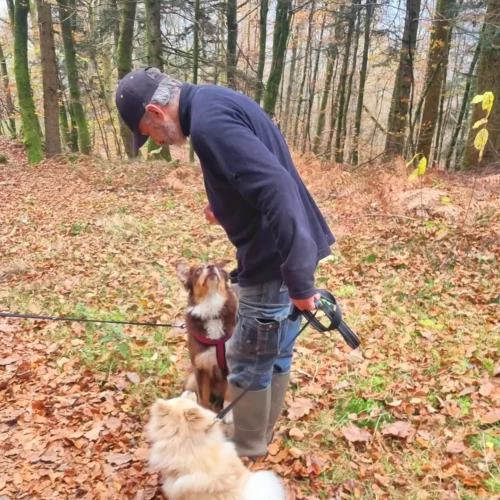 467423181_1020377566559956_4975281335785035957_n