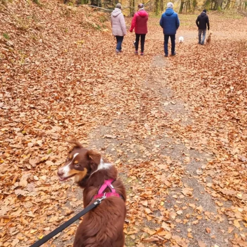 467528384_1020377519893294_5109853286163014215_n