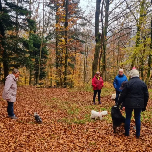 467634263_1020377343226645_4717609919040845933_n