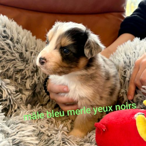 Bayko cherche sa famille