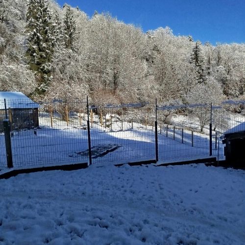 received_1332945124364280