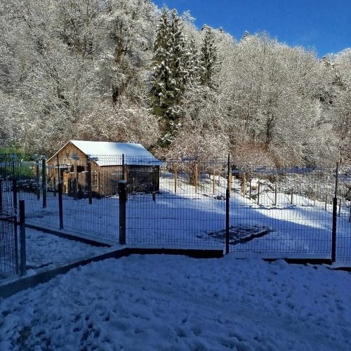 received_1661039417782428